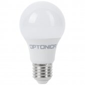 E27 LED lemputės