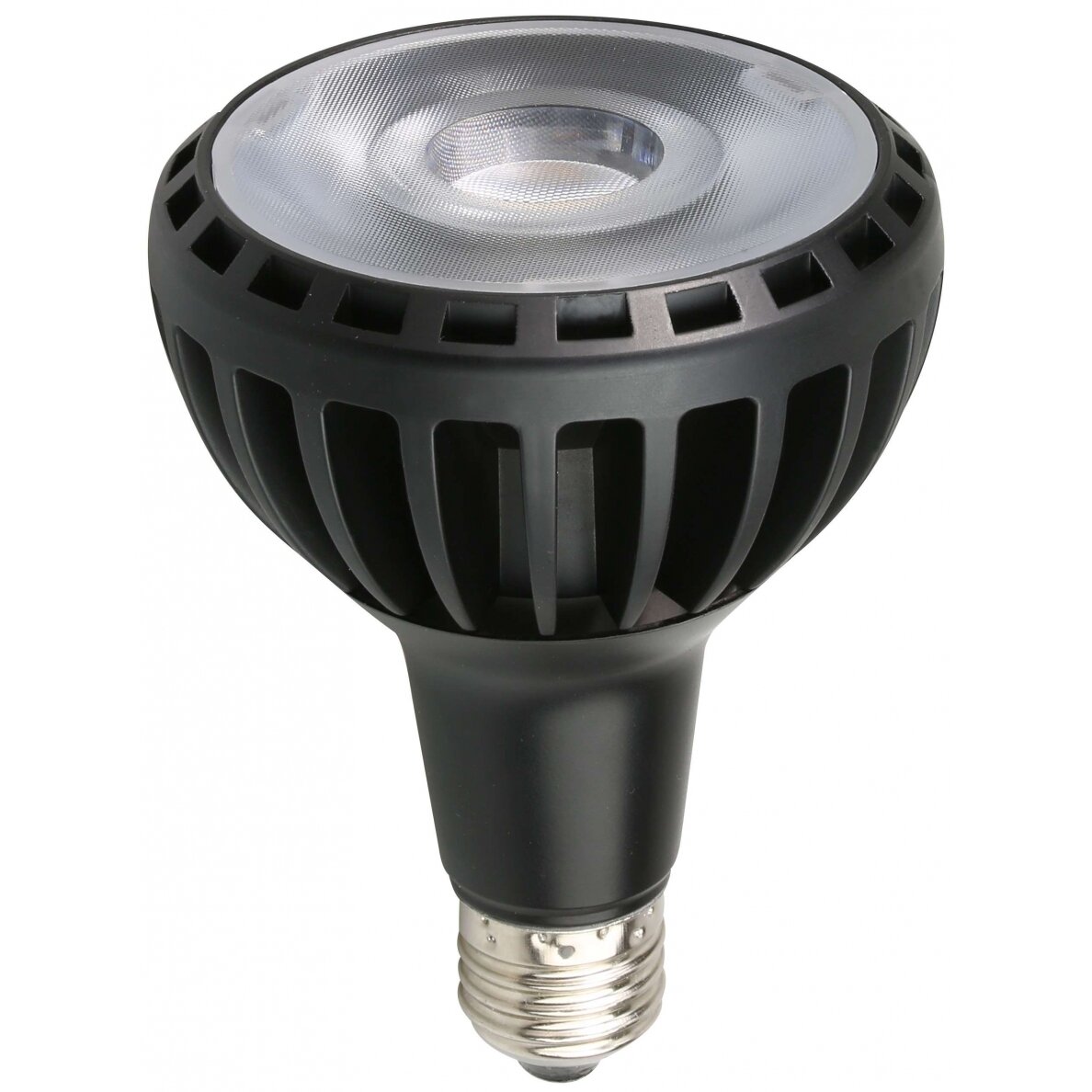 LED lemputė E27 PAR30 25W, šilta balta šviesa
