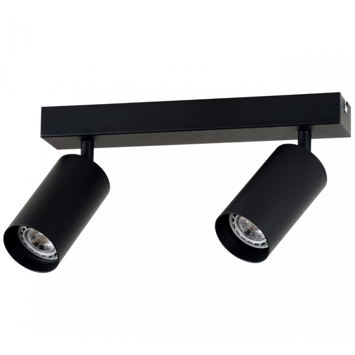 LED Spotlight Fixture, Two Heads, Black