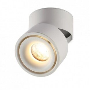 LED Downlight, 12W, White, Adjustable, Neutral Light