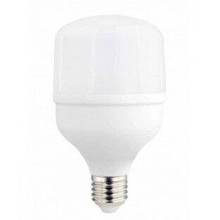 LED Bulb E27 T80 24W, White Light