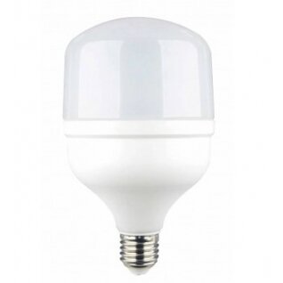 LED Bulb E27 T100 30W, Neutral Light
