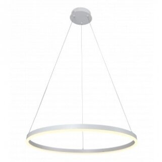 LED Pendant Lamp, 22W, White, Warm Light