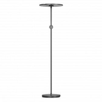 LED Floor Lamp, 40W+8W, Black, Remote Control, RGB CCT