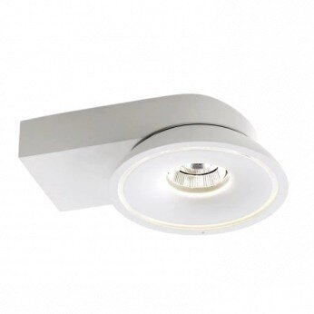 LED COB Surface Downlight, 15W, Round, White, CCT