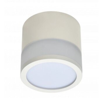 LED Surface Downlight, 12W, Round, White