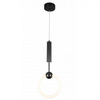 LED pakabinamas šviestuvas, 10W, juodas, šilta balta šviesa
