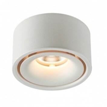LED Downlight, 10W, White, Warm Light