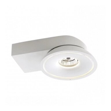 LED COB lubų šviestuvas, 15W, apvalus, baltas, CCT šviesa
