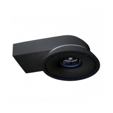 LED COB lubų šviestuvas, 15W, apvalus, juodas, CCT šviesa