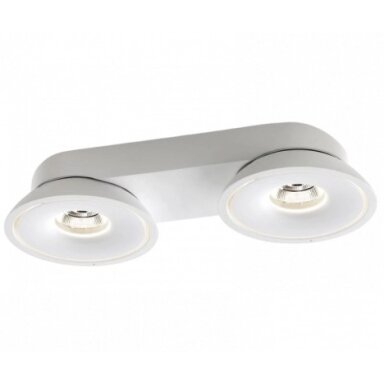 LED COB lubų šviestuvas, 2x15W, apvalus, baltas, CCT šviesa