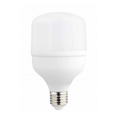 LED lemputė E27 T80 24W, šalta balta šviesa