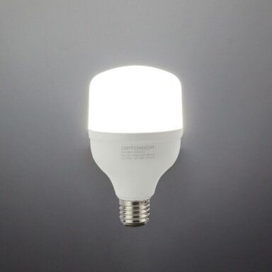 LED lemputė E27 T80 24W, šalta balta šviesa