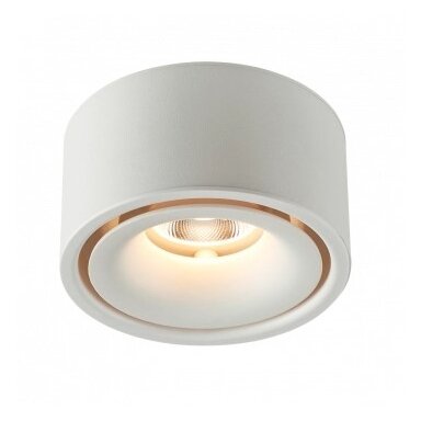 LED lubų šviestuvas, 10W, baltas, šilta balta šviesa