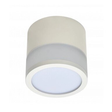 LED lubų šviestuvas, 12W, apvalus, baltas, šilta balta šviesa