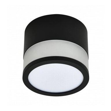 LED lubų šviestuvas, 12W, apvalus, juodas, neutrali balta šviesa