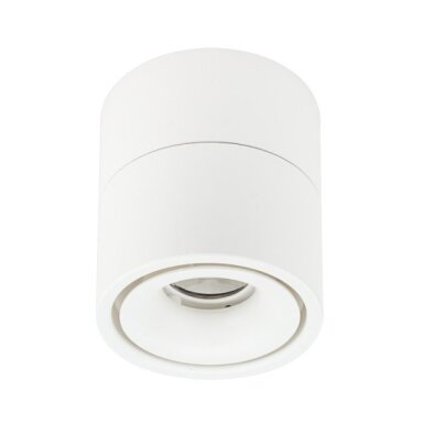 LED lubų šviestuvas, 12W, baltas, reguliuojamas, neutrali balta šviesa