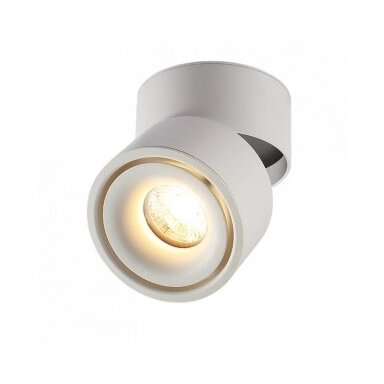 LED lubų šviestuvas, 12W, baltas, reguliuojamas, neutrali balta šviesa