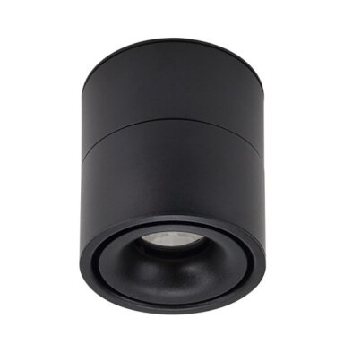 LED lubų šviestuvas, 12W, juodas, reguliuojamas, neutrali balta šviesa