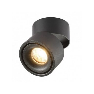 LED lubų šviestuvas, 12W, juodas, reguliuojamas, šilta balta šviesa