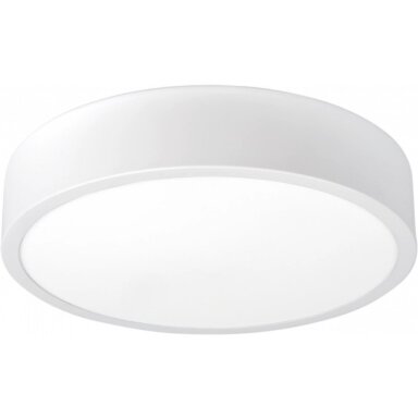 LED lubų šviestuvas, 18W, baltas, neutrali balta šviesa