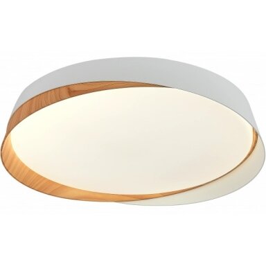 LED lubų šviestuvas, 20W, apvalus, baltas/šviesus medis, atmintis, nuotolinis valdymas, CCT šviesa