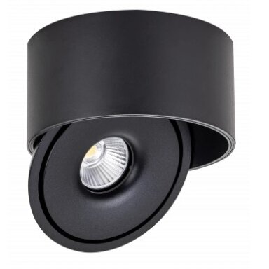 LED lubų šviestuvas, 20W, apvalus, reguliuojamas, juodas, CCT šviesa