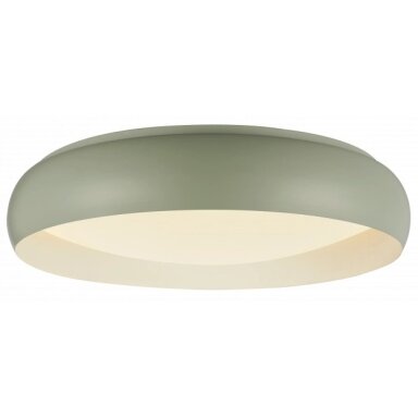 LED lubų šviestuvas, 24W, baltas/pilkai žalsvas, CCT šviesa