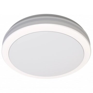 LED lubų šviestuvas, 30W, baltas, CCT šviesa
