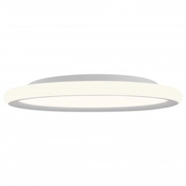 LED lubų šviestuvas, 36W, apvalus, pilkas, CCT šviesa
