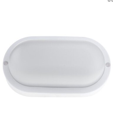 LED lubų šviestuvas, 8W, pailgas, šalta balta šviesa