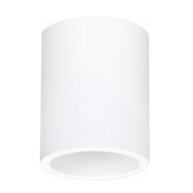 LED lubų šviestuvas, apvalus, baltas