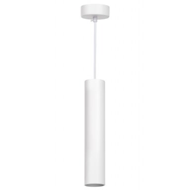 LED lubų šviestuvas, baltas, 300mm