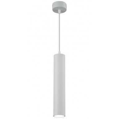 LED lubų šviestuvas, baltas, 500mm
