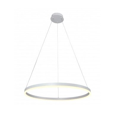 LED pakabinamas šviestuvas, 22W, baltas, šilta balta šviesa