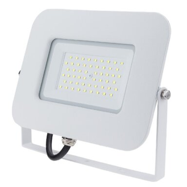 LED prožektorius, baltas, Premium Line, 5 metai garantija, 50W, šilta balta šviesa