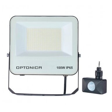LED Floodlight, Black, 90Lm/W, 100W, CCT 3000K-6000K