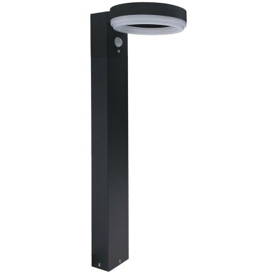 LED saulės vejos lempa, 6W, PIR jutiklis, 50cm, šalta balta šviesa LED saulės vejos lempa, 6W, PIR jutiklis, 50cm, šalta balta šviesa