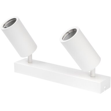 LED taškinis šviestuvas, 2 lemputės, baltas