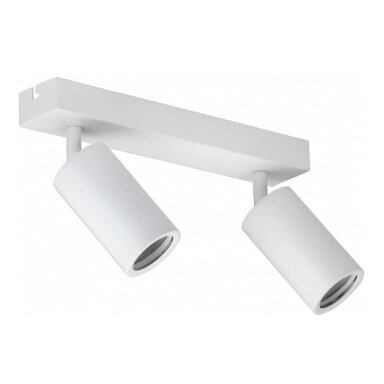 LED taškinis šviestuvas, 2 lemputės, baltas