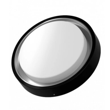 LED Outdoor Ceiling Light, Black, 30W, Warm Light
