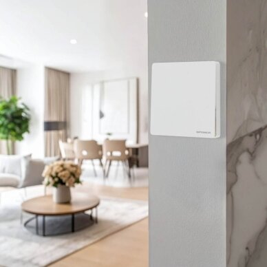 LED 1-Gang Remote Control Switch with Controller, WiFi, White 3