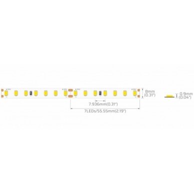 LED Strip 10W/m, 1300Lm/m, 24V, White Light 4 LED Strip 10W/m, 1300Lm/m, 24V, White Light 4