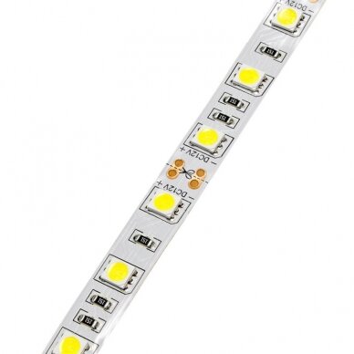 LED Strip 14.4W/m, 1000Lm/m, 12V, Pro, White Light 1 LED Strip 14.4W/m, 1000Lm/m, 12V, Pro, White Light 1