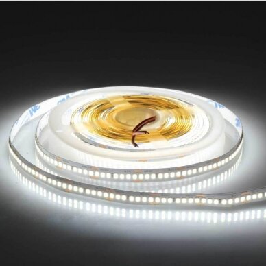 LED Strip 18W/m, 2340Lm/m, 24V, White Light 2 LED Strip 18W/m, 2340Lm/m, 24V, White Light 2