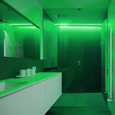 LED Strip 4.8W/m, 300Lm/m, 12V, Pro, IP54, Green 3
