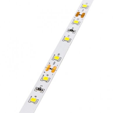 LED Strip 4.8W/m, 300Lm/m, 12V, Pro, Blue 1