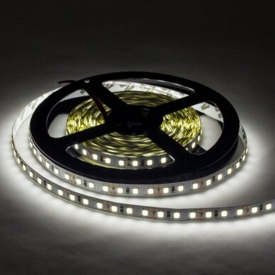LED Strip 9.6W/m, 600Lm/m, 12V, Pro, White Light 2 LED Strip 9.6W/m, 600Lm/m, 12V, Pro, White Light 2