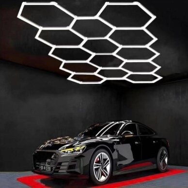 LED korys (hexagon), 14HEX, 456W, šalta balta šviesa 1