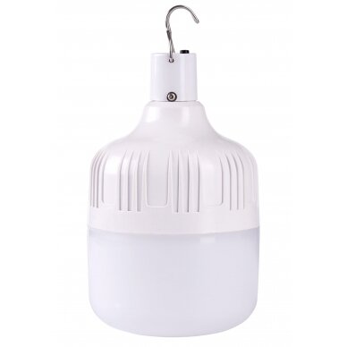LED Solar Bulb with Solar Panel, 8W, White Light
